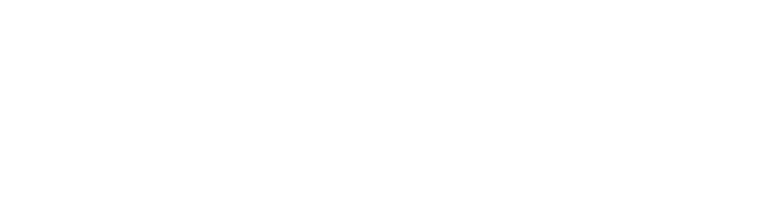 White logo with a mountain graphic and the word EVEREST in large bold letters. Below, in smaller font, it reads MACHINES IMPORT & MARKETING.